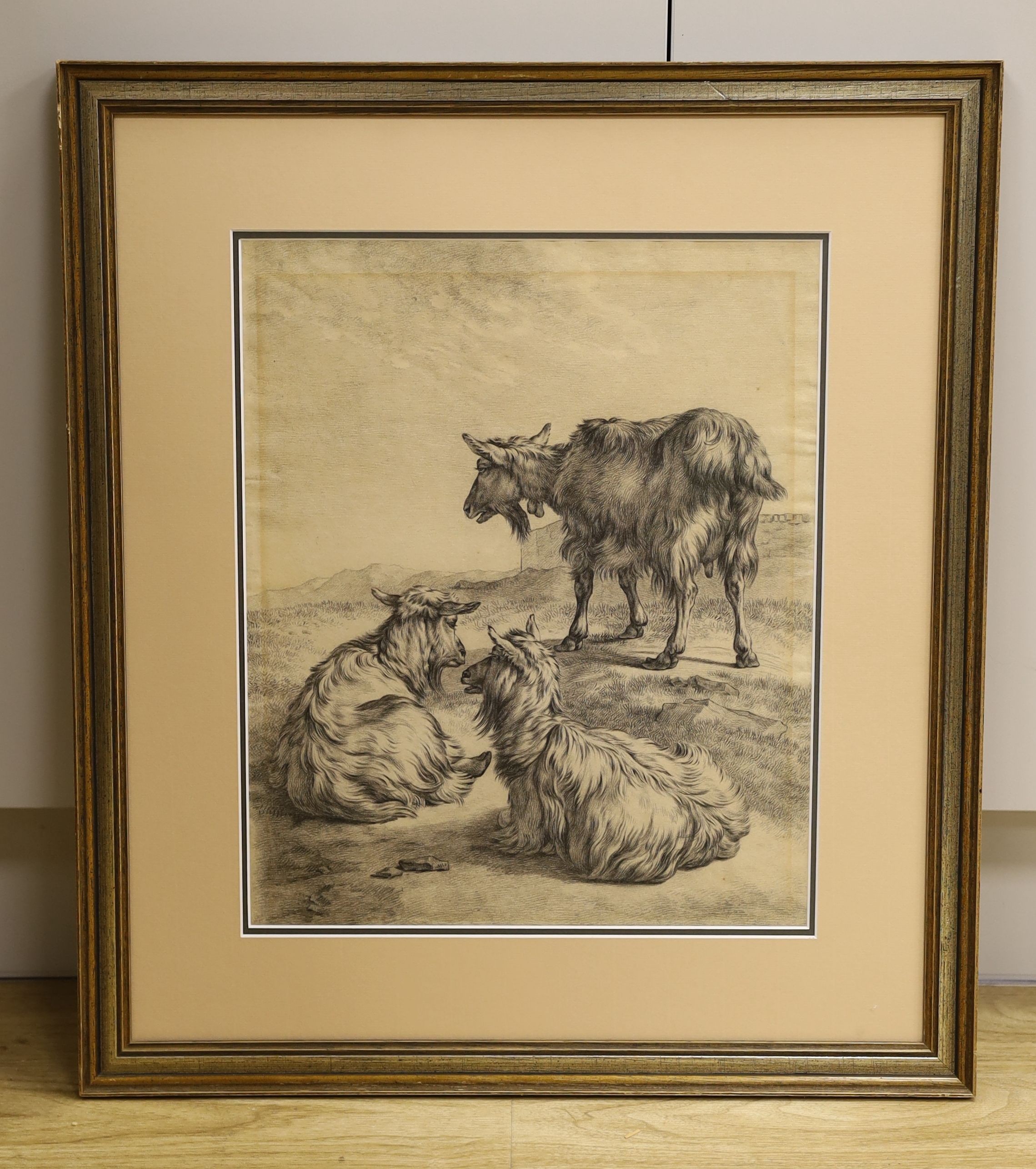 Follower of Paulus Potter (1625-1654), charcoal drawing, Goats in a landscape, 40 x 33cm